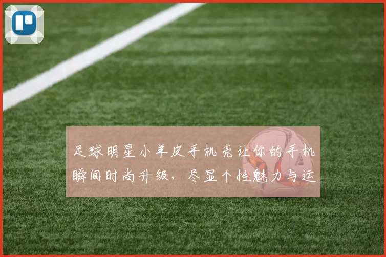 足球明星小羊皮手机壳让你的手机瞬间时尚升级，尽显个性魅力与运动风范