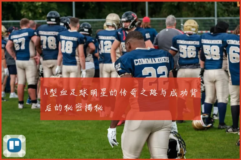 A型血足球明星的传奇之路与成功背后的秘密揭秘